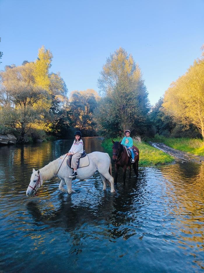 Images Cerdanya Eqüestre