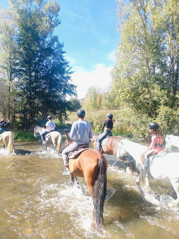 Images Cerdanya Eqüestre