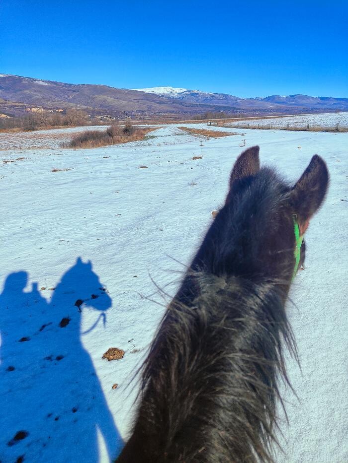 Images Cerdanya Eqüestre