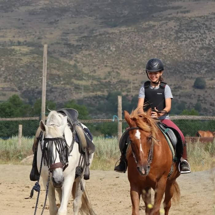 Images Cerdanya Eqüestre