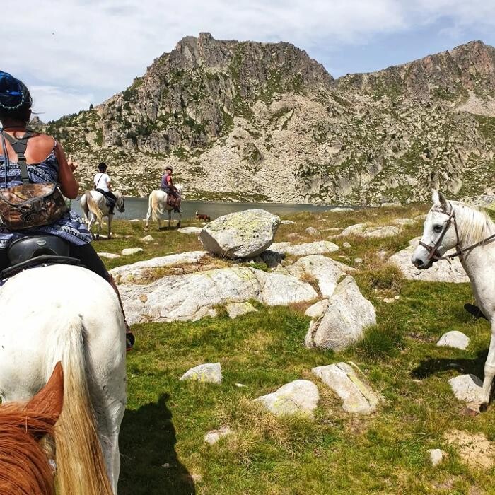 Images Cerdanya Eqüestre