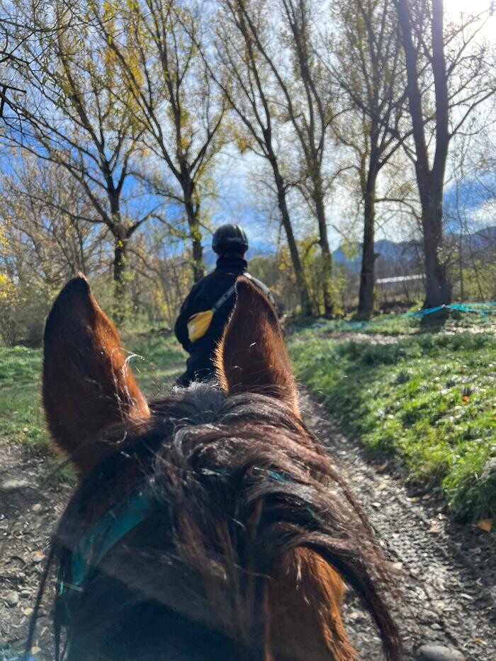 Images Cerdanya Eqüestre