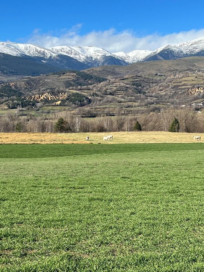 Images Cerdanya Eqüestre