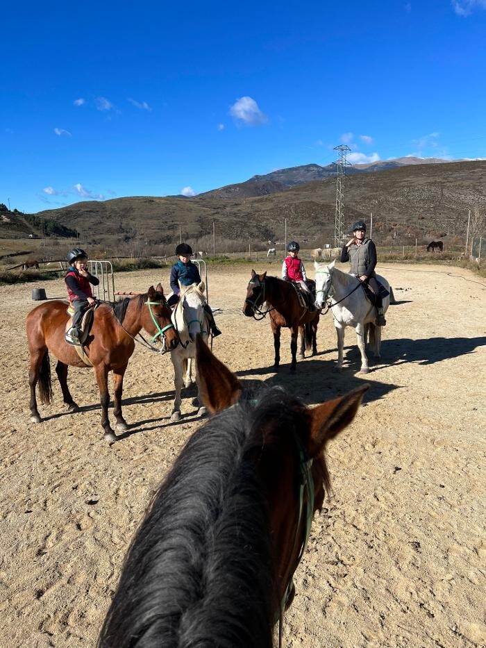 Images Cerdanya Eqüestre