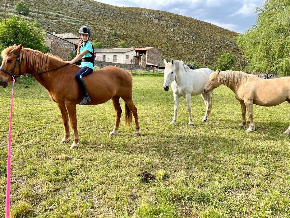 Images Cerdanya Eqüestre