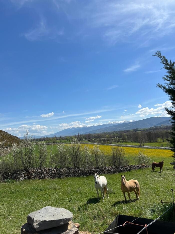 Images Cerdanya Eqüestre