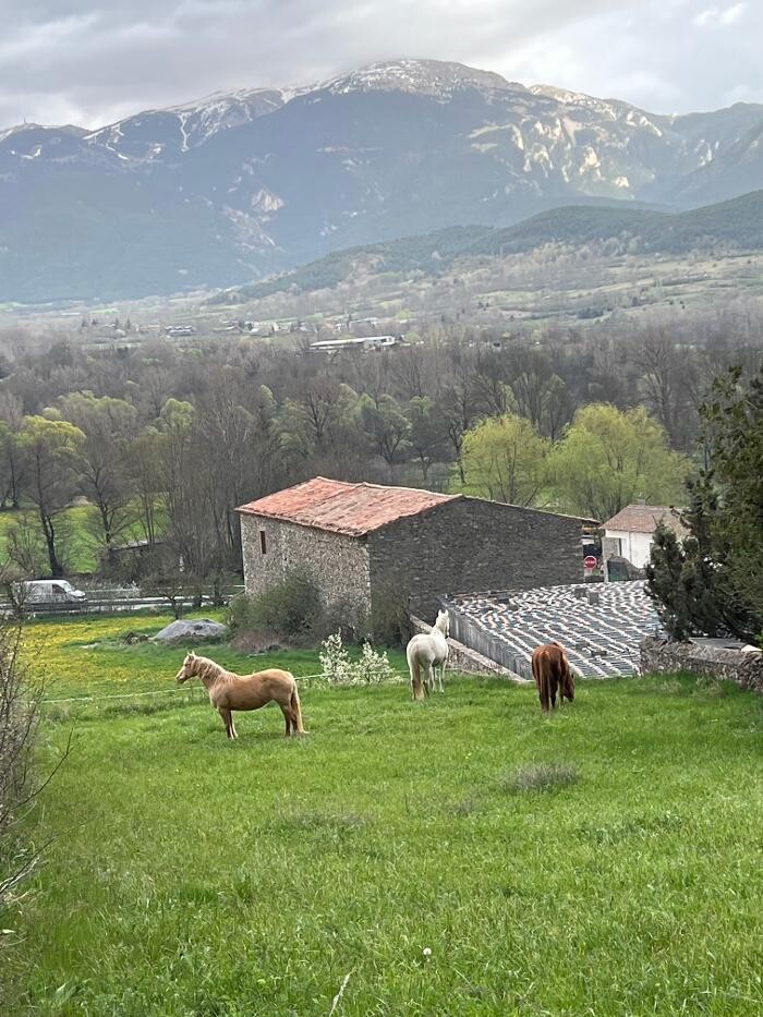 Images Cerdanya Eqüestre