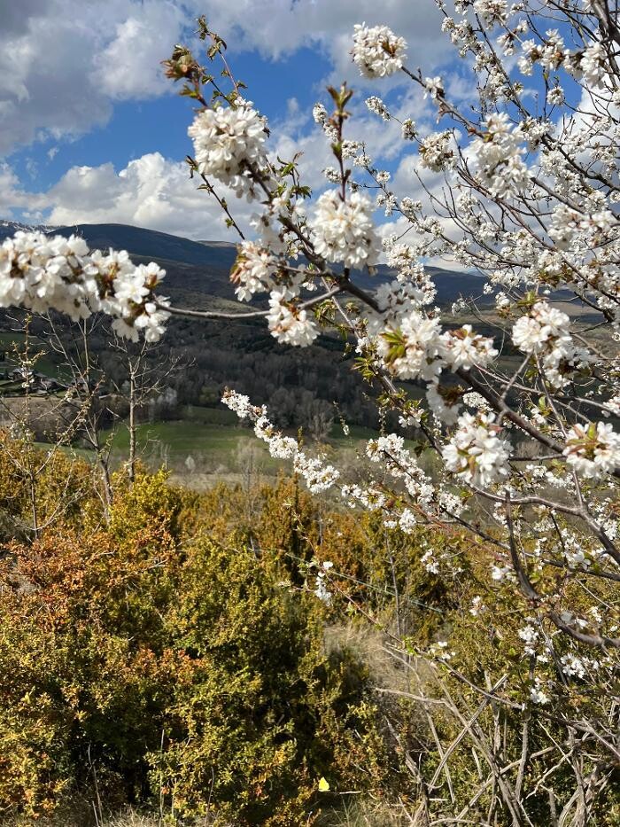 Images Cerdanya Eqüestre