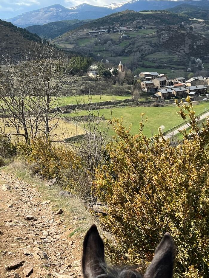 Images Cerdanya Eqüestre