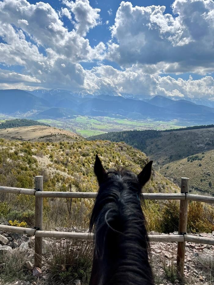 Images Cerdanya Eqüestre