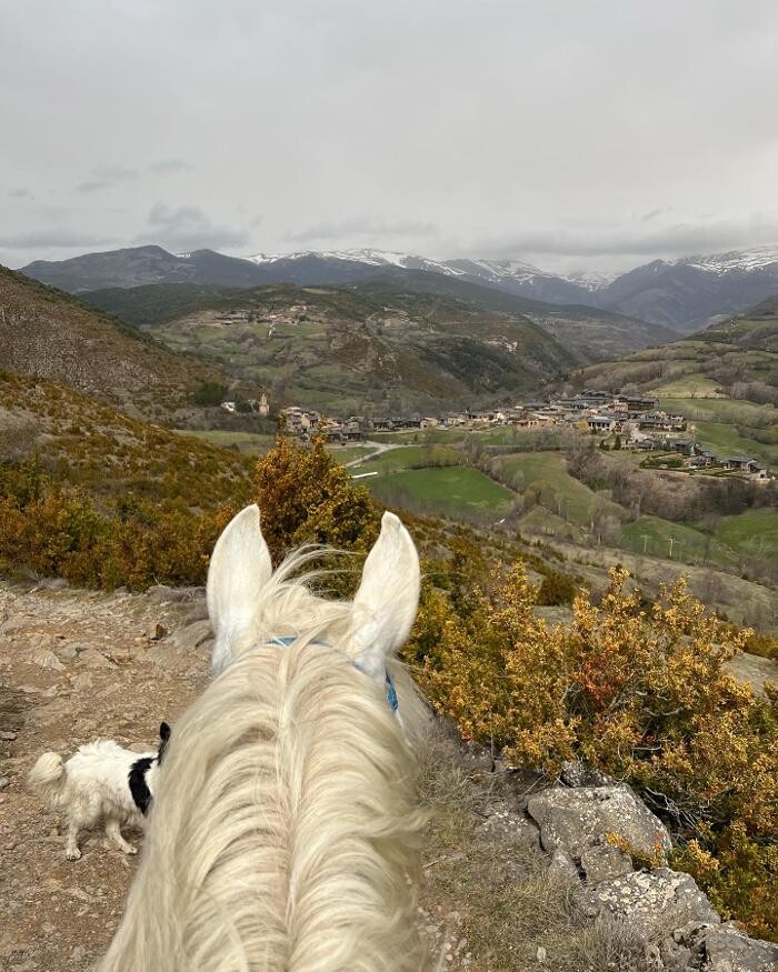 Images Cerdanya Eqüestre