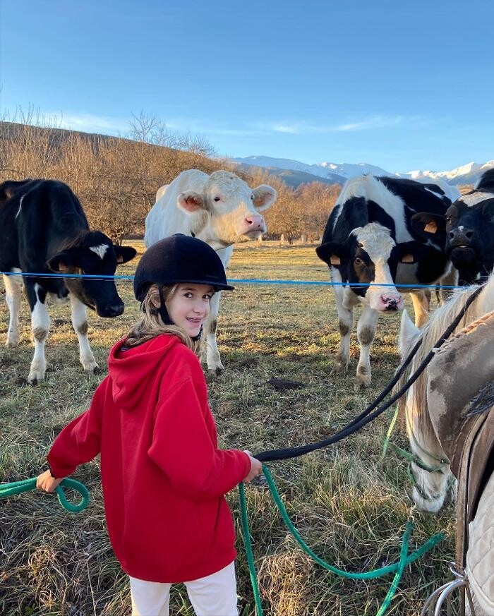 Images Cerdanya Eqüestre
