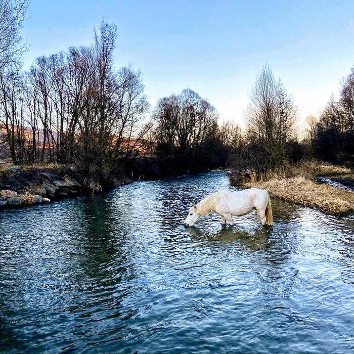 Images Cerdanya Eqüestre