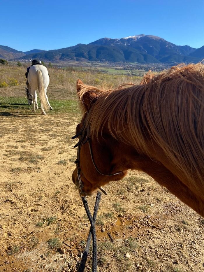 Images Cerdanya Eqüestre