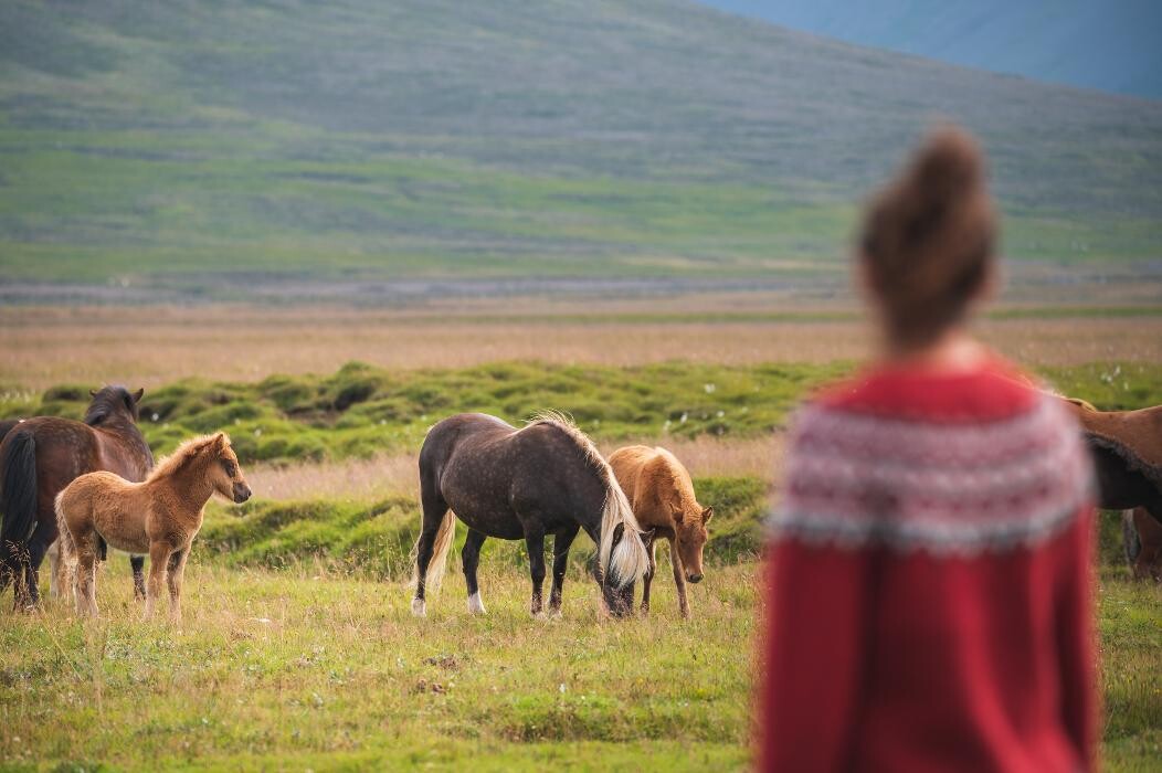 Images McRent Coruña