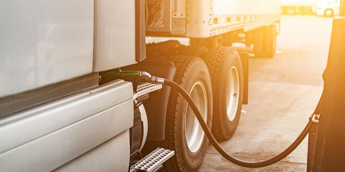 Images GRUAS FCO. OZAEZ