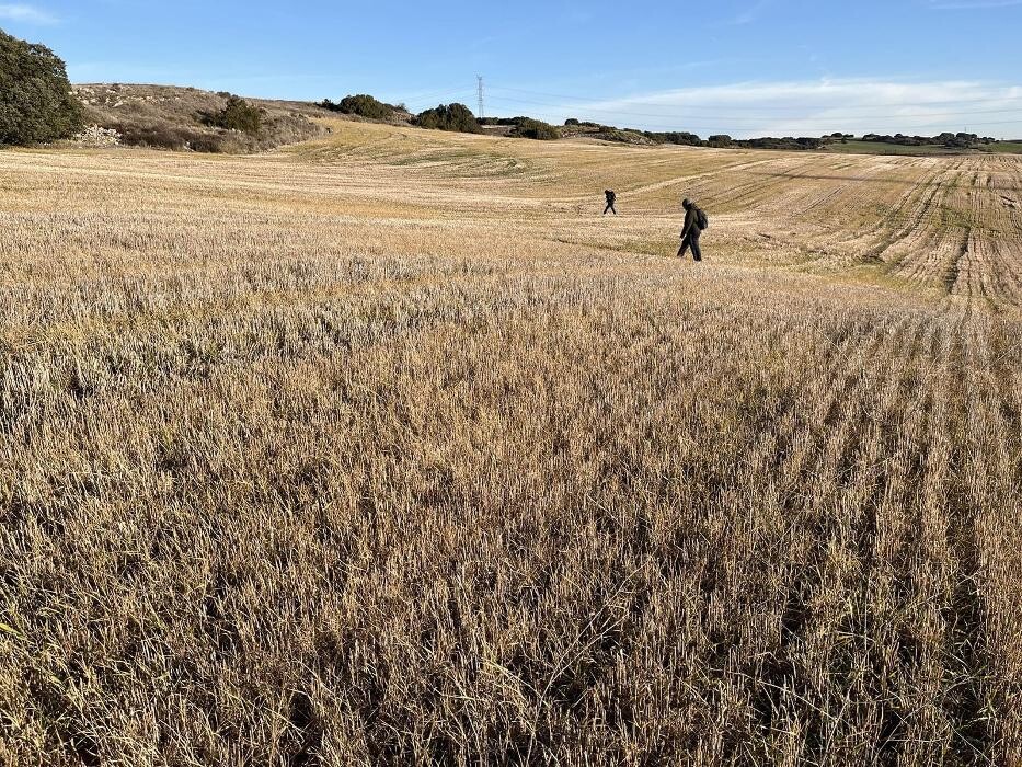 Images Itaka Arqueologos SL