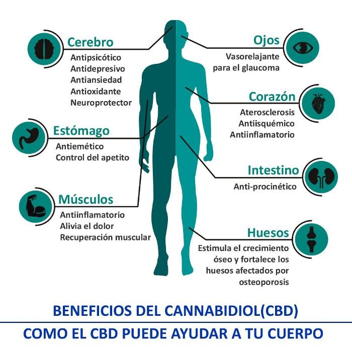 Images CBD LEON