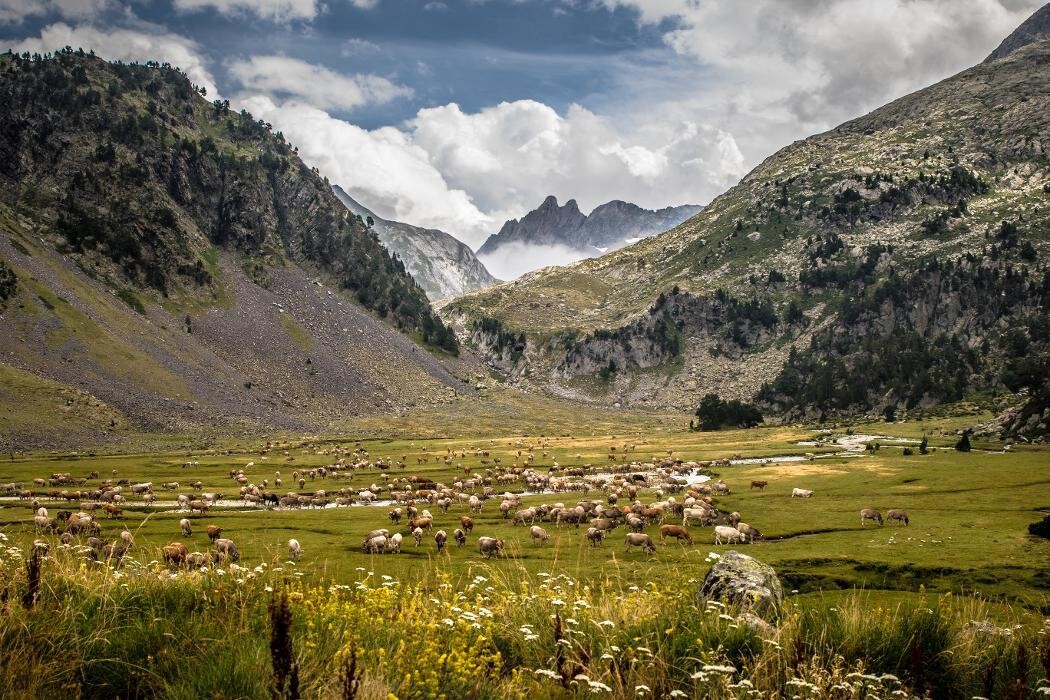 Images Pyrenees Travels