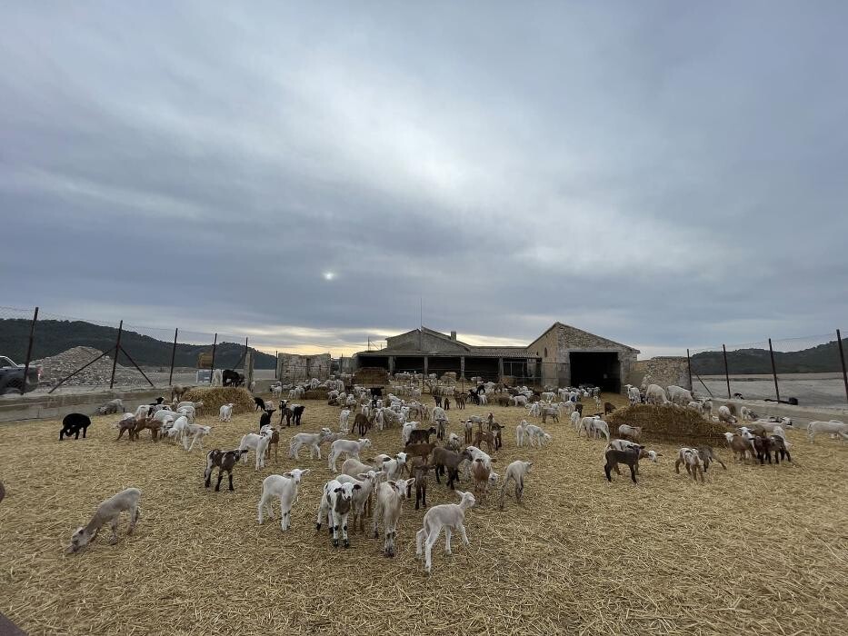 Images Grupo Bombón