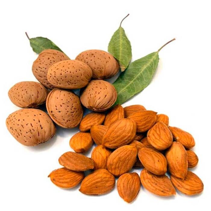 Images Grupo Bombón