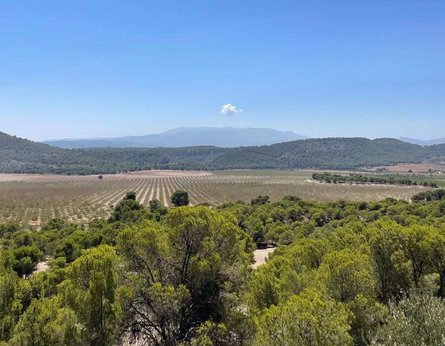 Images Grupo Bombón