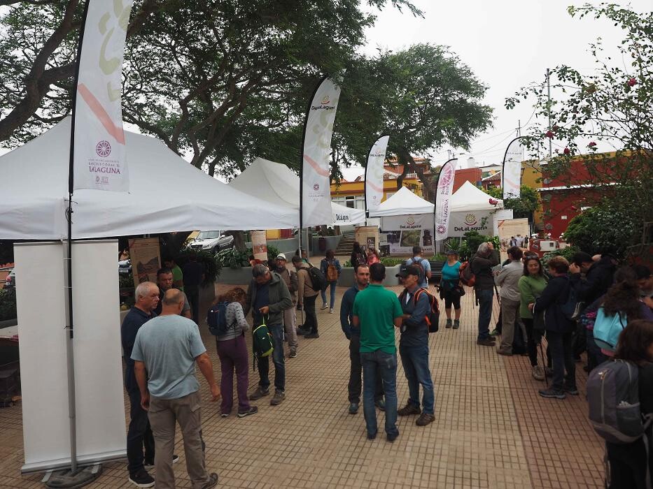 Images Ataraxia Nova SLU