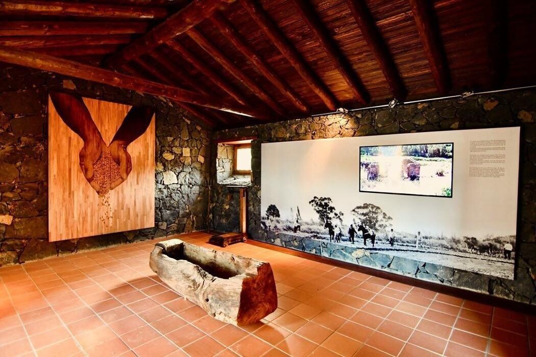 Images Ataraxia Nova SLU