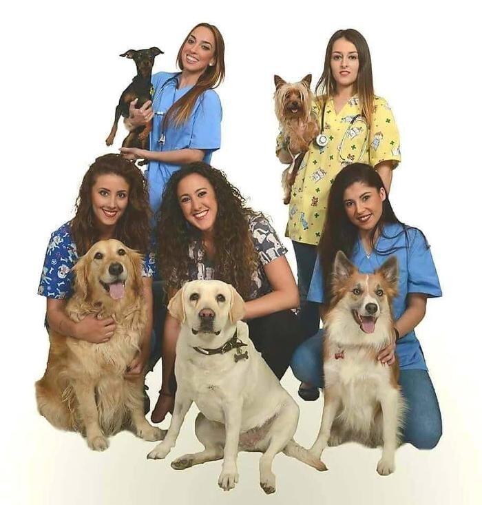 Images Formación Veterinaria Portacoeli