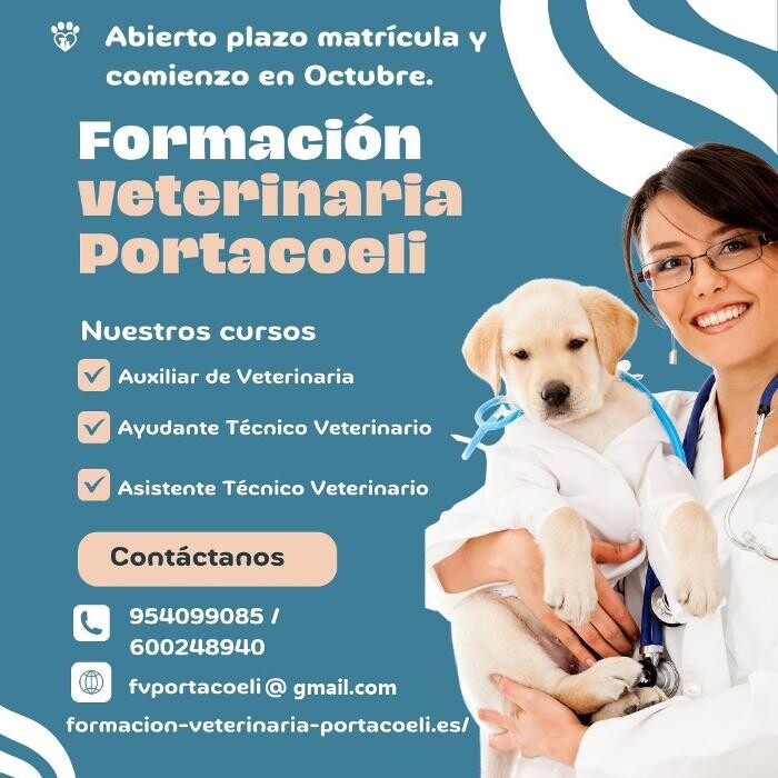 Images Formación Veterinaria Portacoeli