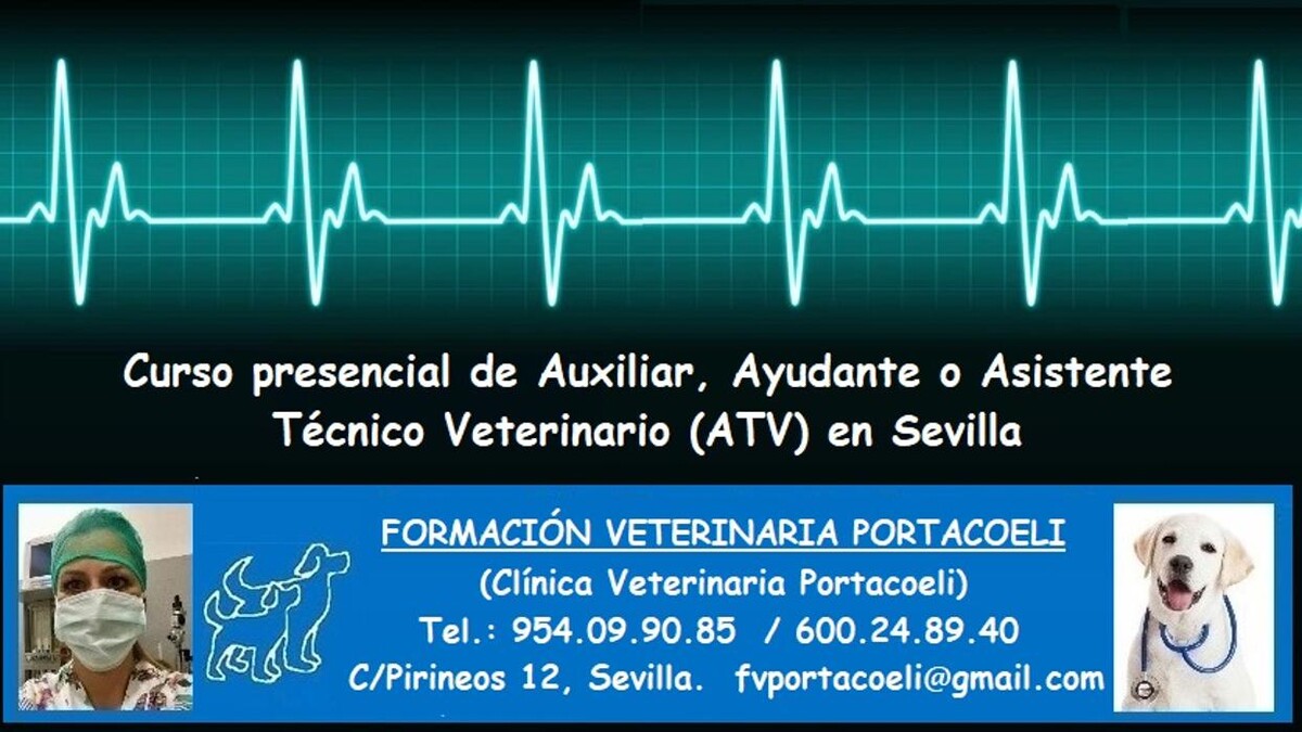 Images Formación Veterinaria Portacoeli