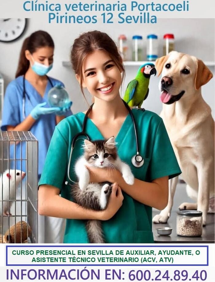 Images Formación Veterinaria Portacoeli
