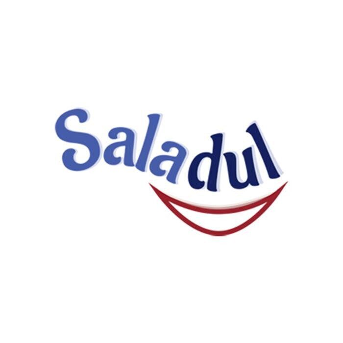Distribuciones Saladul Logo