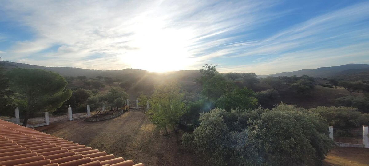 Images Finca La Chirivia Baja