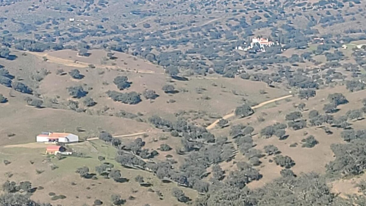 Images Finca La Chirivia Baja