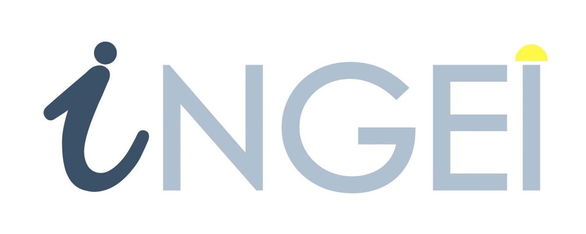 INGEI Logo