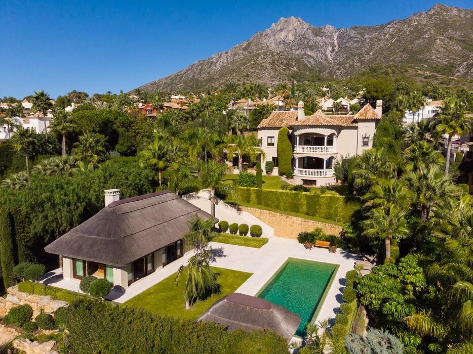 Images Gonzo Realtor Luxury Villas