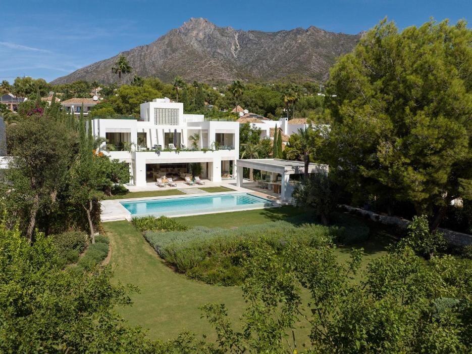 Images Gonzo Realtor Luxury Villas