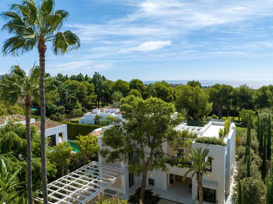 Images Gonzo Realtor Luxury Villas