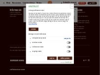 Website Screenshot Burger King