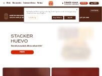 Website Screenshot Burger King