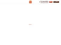 Website Screenshot Burger King