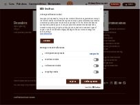 Website Screenshot Burger King