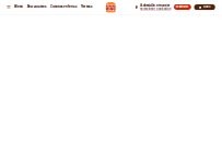 Website Screenshot Burger King