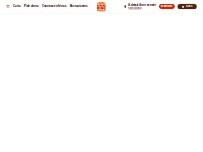 Website Screenshot Burger King