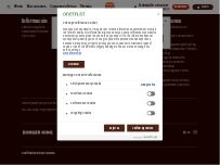 Website Screenshot Burger King