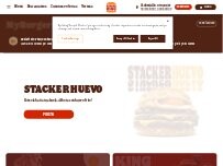 Website Screenshot Burger King