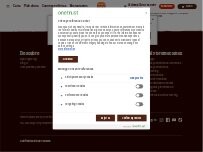 Website Screenshot Burger King