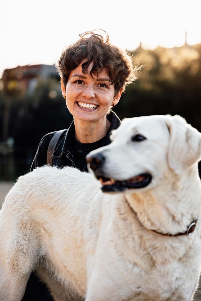 Images Saving Slippers Dog Training