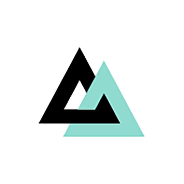 Dani Feixas Logo